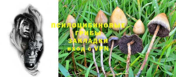 крисы Абинск