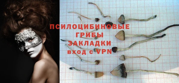 синтетический гашиш Алексеевка
