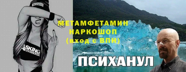 хмурый Алексин
