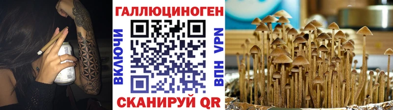 MEGA как войти  купить наркотики сайты  Цимлянск  Псилоцибиновые грибы мухоморы 